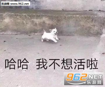 出去玩啊表情包
