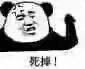 可爱中透着一丝凶狠表情包 可爱中透着一丝凶狠表情包