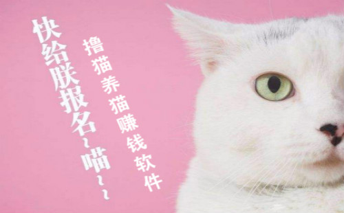 ߣè��è׬Ǯ����_ȫ����è_��è�����_������