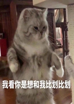 �ҿ���������ұȻ��Ȼ�ͼƬ�����