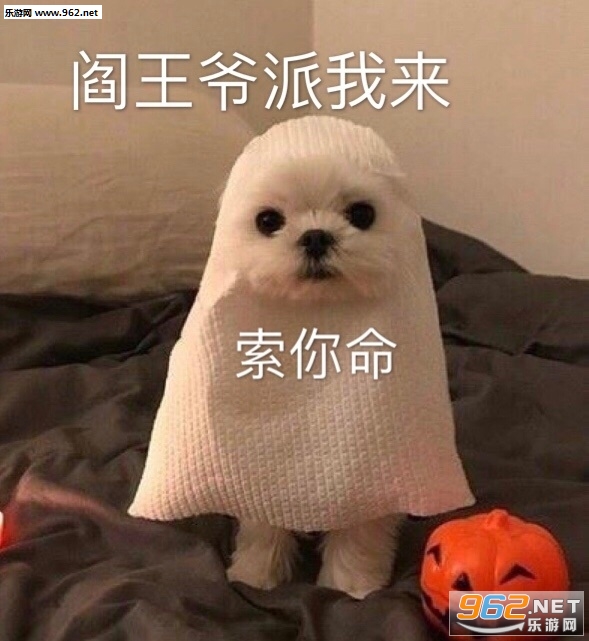 ��Ů���Ѹҳ�ʺ�������ͼ1
