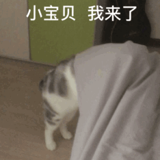 ���ҳ���ɱ����������ͼ5