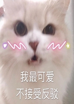 ����ɰ������ܷ��������