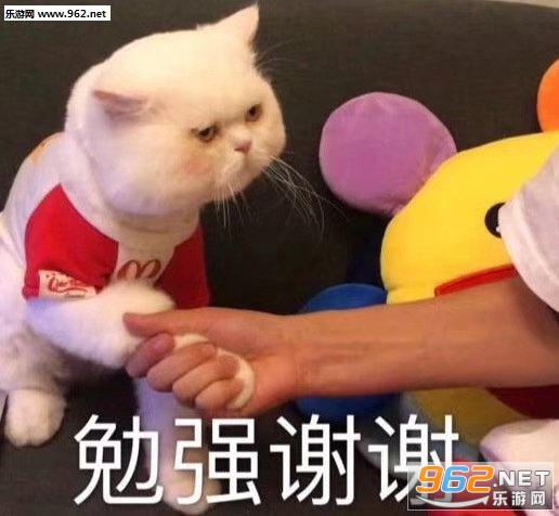 ��ǿлл�������ͼ5