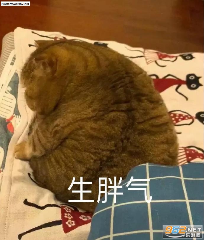 Ҫ�Ϲ����ױ������ͼ5