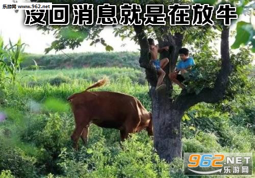 û����Ϣ������æũ��������ͼ1