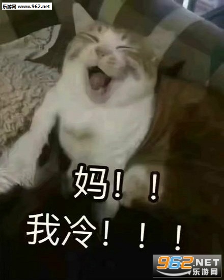 �ڼ����º���èè�������ͼ0