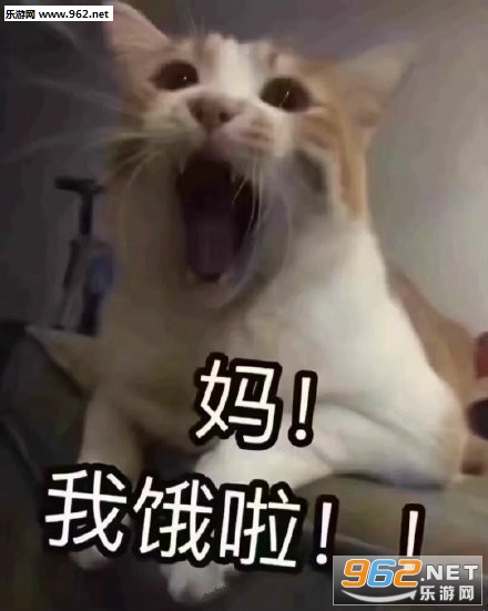 �ڼ����º���èè�������ͼ2