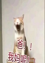 �ڼ����º���èè�����