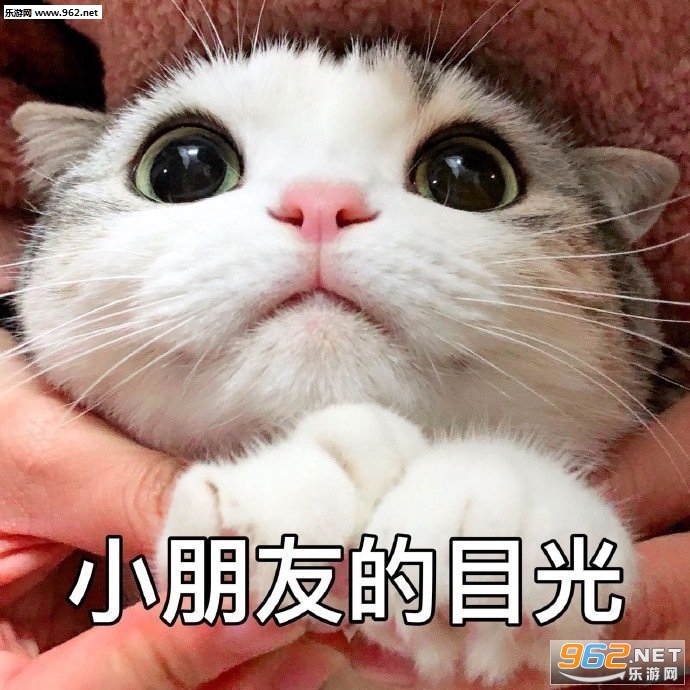С���ѵ�Ŀ��������ͼ2