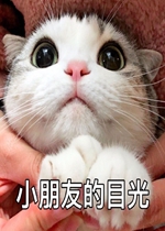 С���ѵ�Ŀ������