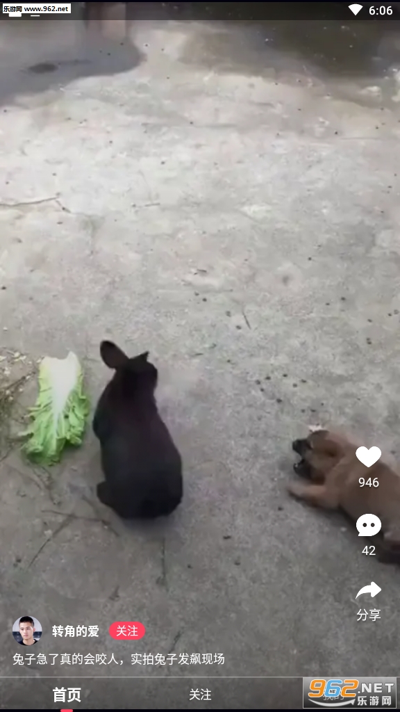 金豆视频红包版截图0