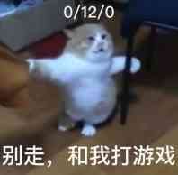 �������ɿ����ޱ�����ŮͼƬ�������ͼ3