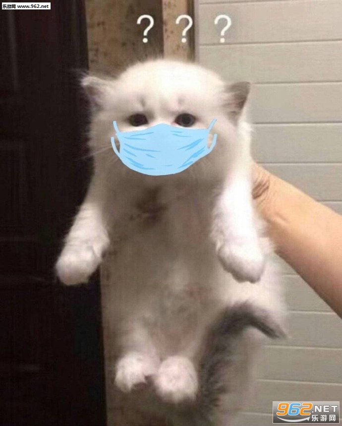����ͷ��ͼƬ��ͼ2