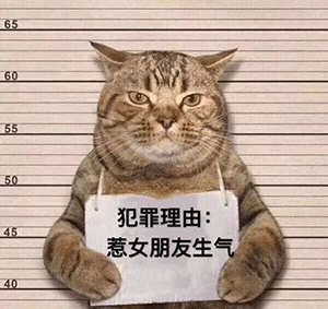 ������Σ��ͼƬ�������ͼ7