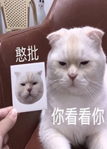 �㿴���㺩�������