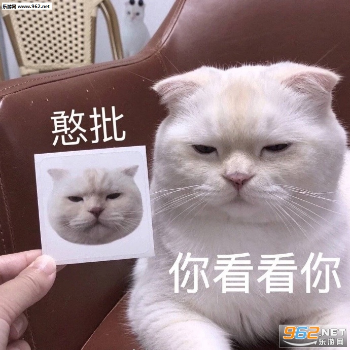 �㿴���㺩���������ͼ2