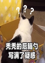 ͺͺ�ĺ�����д�����ɻ�����