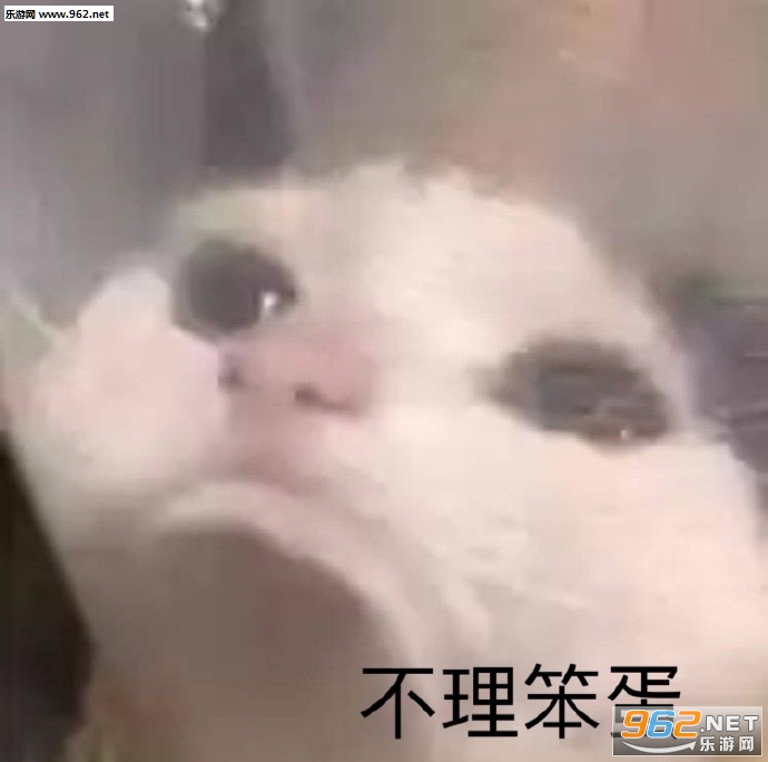 ���ֺ����������ͼ7