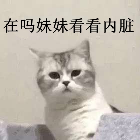 �������ÿ�������������ͼ1