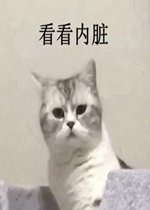�������ÿ�����������