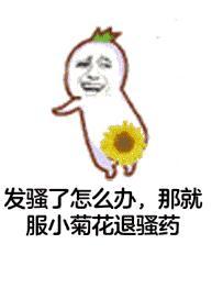 ��ɧ��������ͼ
