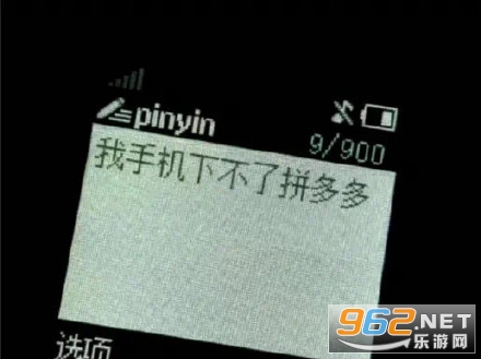 我手机下不了拼多多图片 我手机下不了拼多多图片