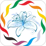 �����Ļ�app