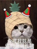 ��ʥ������ʥ��ñ�����