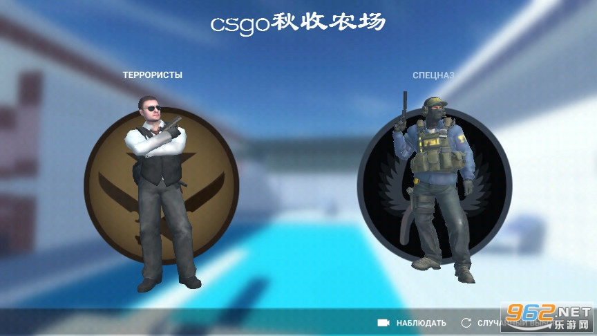 csgo����ũ��