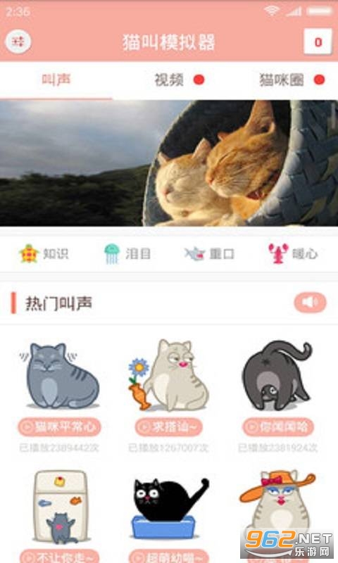 è�з�������׿���ͼ2