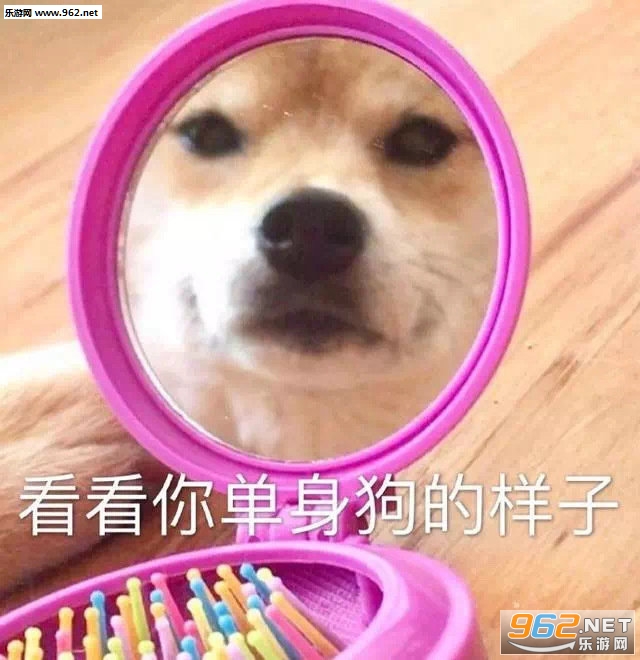 ����������������