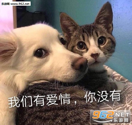 �ȴ���Ӧ�����