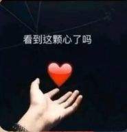 ������������𶪵�Ҳ����������