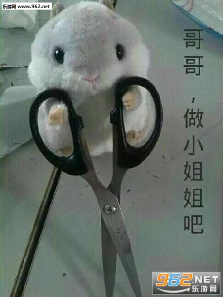 ȫ���˶�����Щsb�����