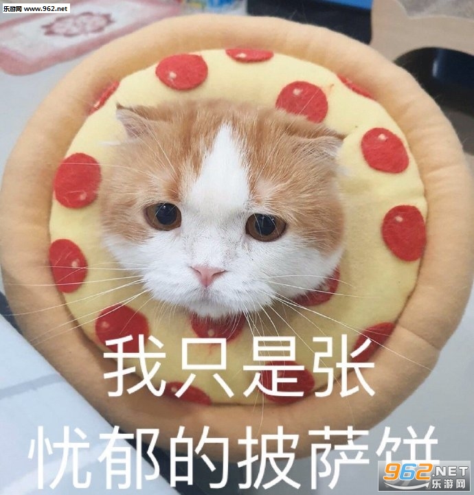�������׿���ʲô���˺������ұ����