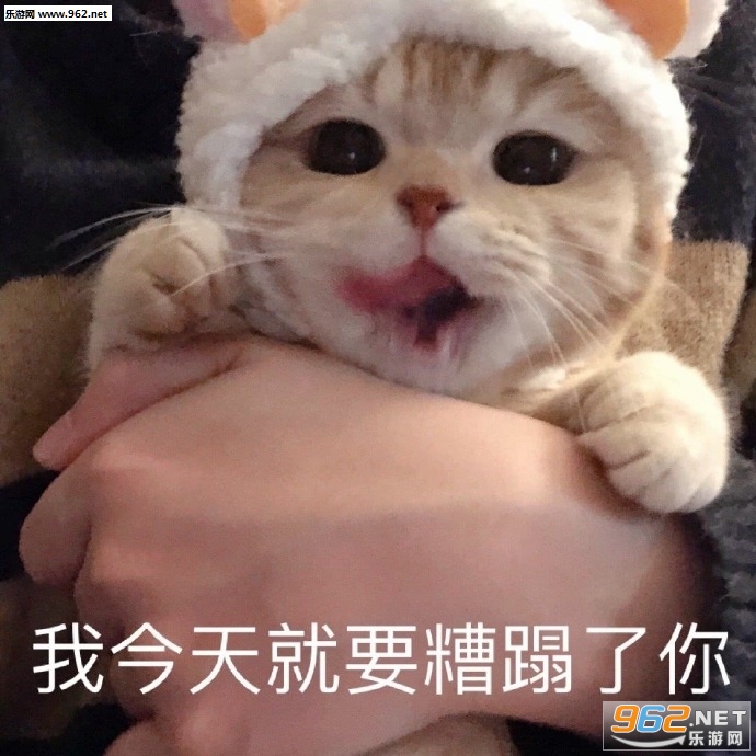 С��һ������ɢ�������
