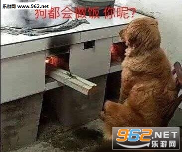 ��ʲôζ�����ű����