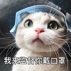 �������ȵ����������