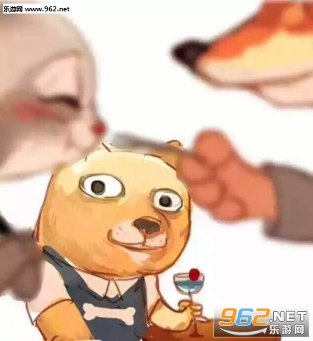 ϲ����è�����ֳ��ֵ�è��ϲ��ͼƬ