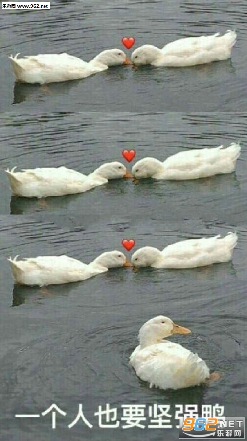 ��ҹ����ͼƬ