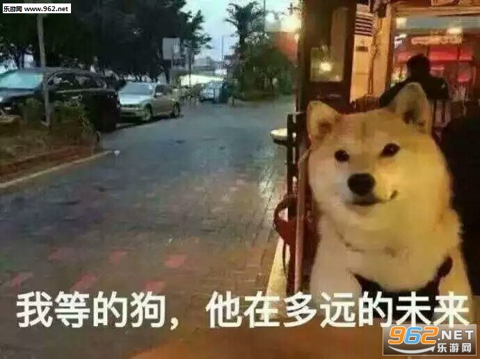 ��ҹ����ͼƬ