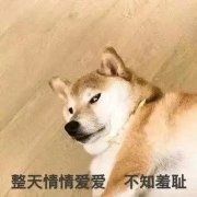 ��ҹ����ͼƬ