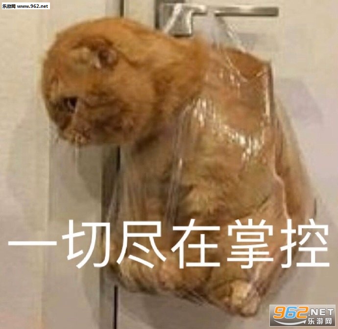 ���ǰ�����˭�������ұ����