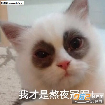 ��ҹ�ھ������