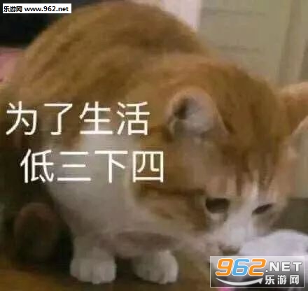 Цһ�����˱����