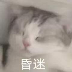 ��֪���������ڸ����ֲ������̫���Ա����