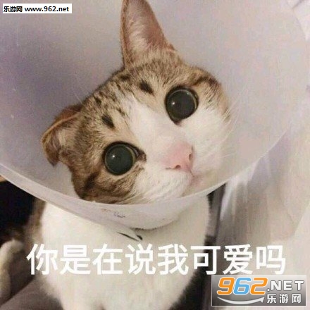 ��֪���������ڸ����ֲ������̫���Ա����