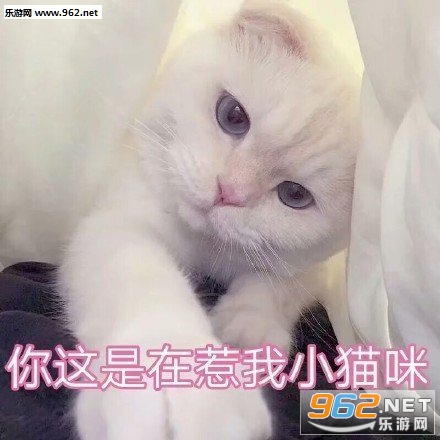 ��֪���������ڸ����ֲ������̫���Ա����