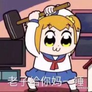 ���汣������